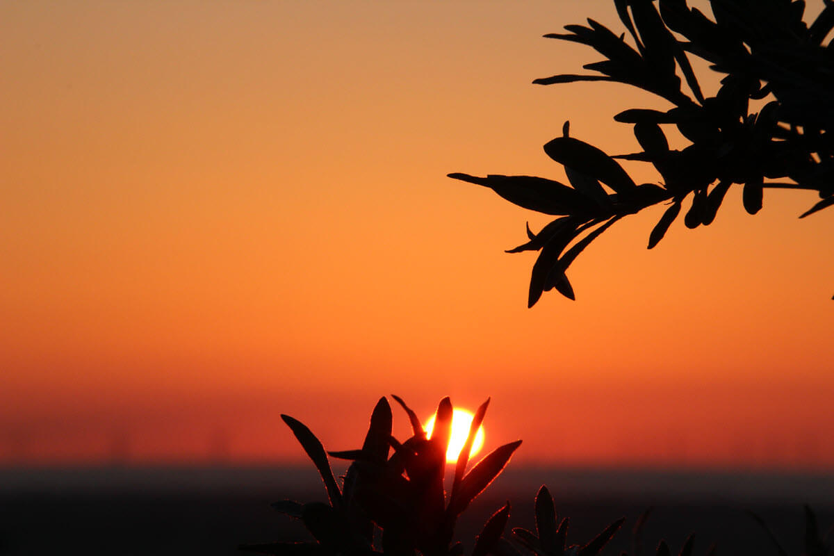 Sonnenuntergang auf Borkum