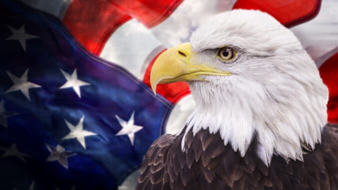 Weißkopfadler vor amerikanischer Flagge