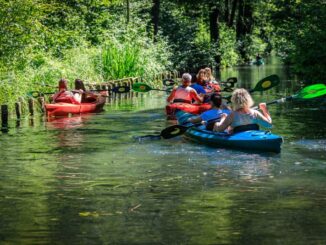Kanutour im Spreewald