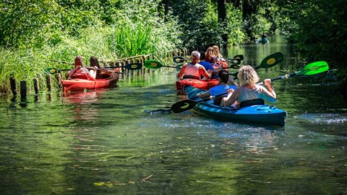 Kanutour im Spreewald